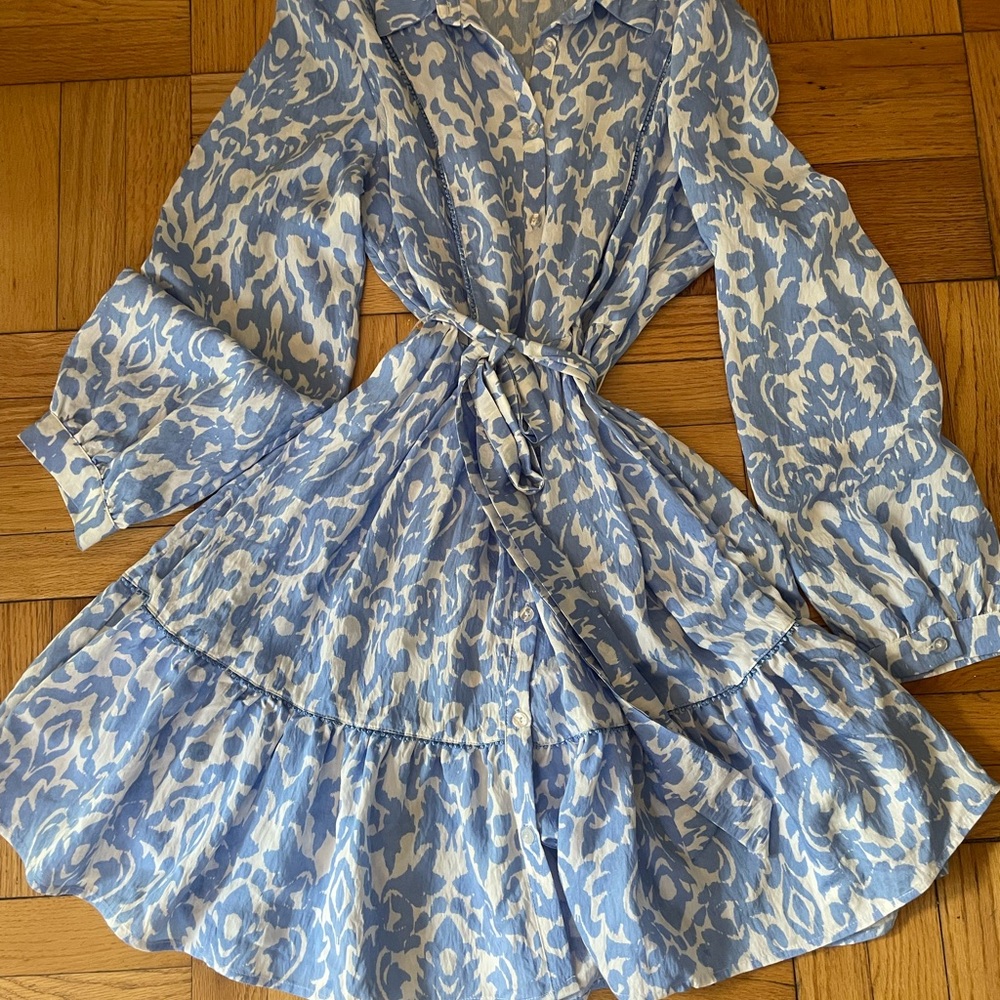 Ellen Tracy Long Sleeve Dress in Blue and White